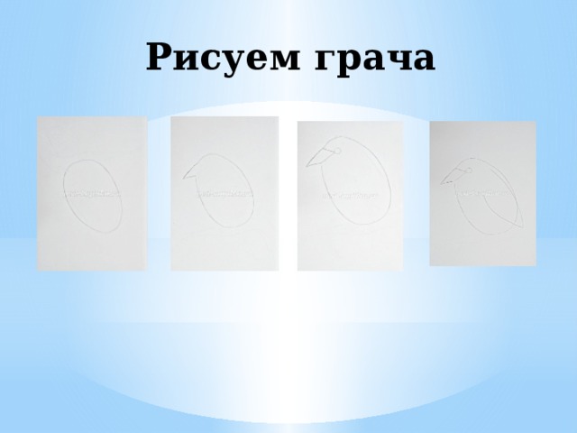 Рисуем грача 