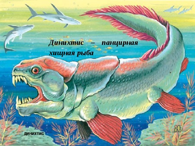 Динихтис – панцирная хищная рыба 