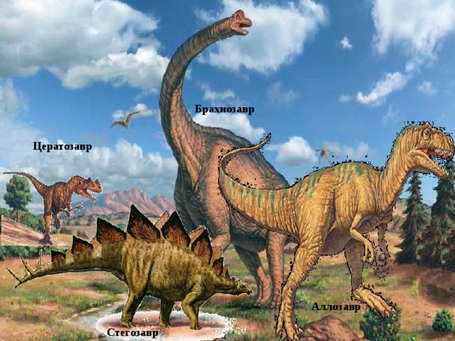 Брахиозавр Цератозавр Аллозавр Стегозавр 