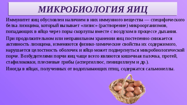 Иммунитет микробиология презентация