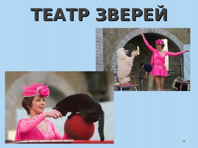 ТЕАТР ЗВЕРЕЙ 