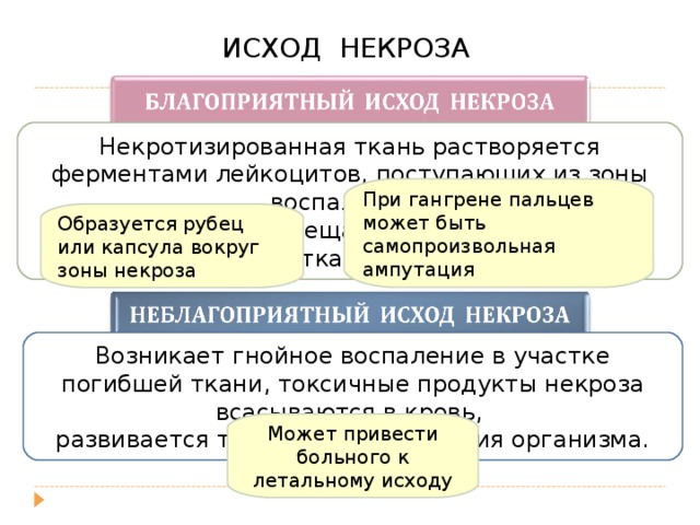 Исходы некроза схема