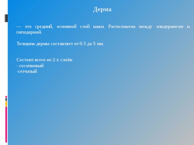 Дерма  — это средний, основной слой кожи. Расположена между эпидермисом и гиподермой. Толщина дермы составляет от 0.5 до 5 мм. Состоит всего из 2-х слоёв: - сосочковый -сетчатый 