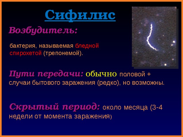 Сифилис Возбудитель: бактерия, называемая бледной  спирохетой (трепонемой). Пути передачи: обычно  половой + случаи бытового заражения (редко), но возможны. Скрытый период: около месяца (3-4 недели от момента заражения ) 