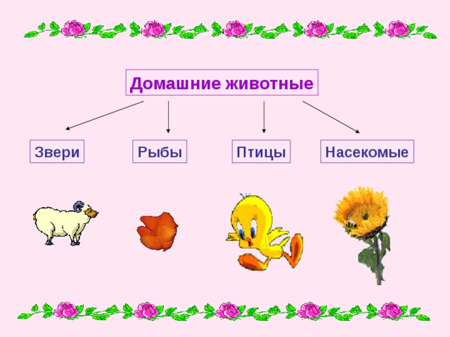 Дикие и домашние животные 2 класс окружающий. Дикие и домашние животные 2 класс. Дикие и домашние звери 2 класс. Домашние животные и насекомые и рыбы. Домашние животные схема.