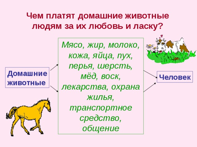 Презентация по окружающему миру 2 класс дикие и домашние животные