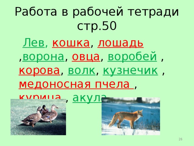 Работа в рабочей тетради  стр.50  Лев , кошка , лошадь  , ворона , овца , воробей  , корова , волк , кузнечик , медоносная пчела , курица , акула .  