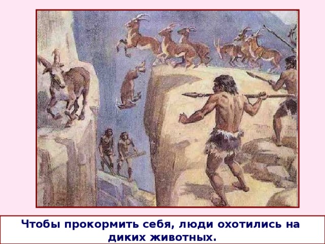 Чтобы прокормить себя, люди охотились на диких животных. 