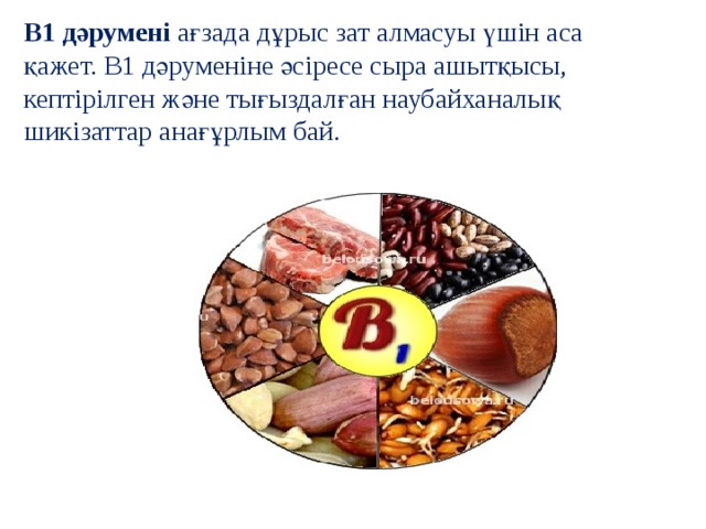 В1 дәруменi  ағзада дұрыс зат алмасуы үшін аса қажет. В1 дәруменіне әсіресе сыра ашытқысы, кептірілген және тығыздалған наубайханалық шикізаттар анағұрлым бай. 