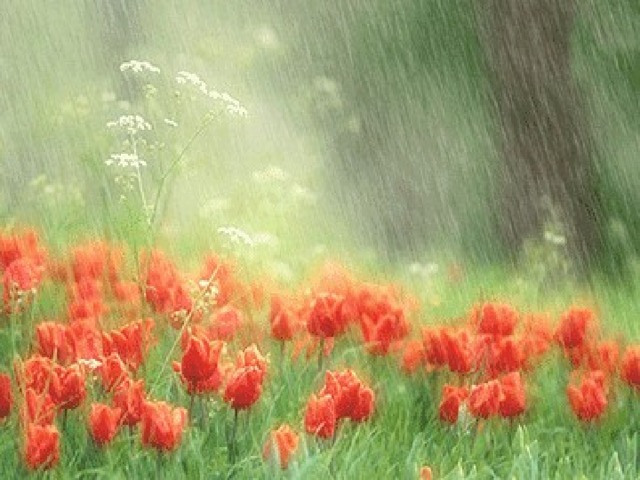    ҮІІІ. Рефлексия.    