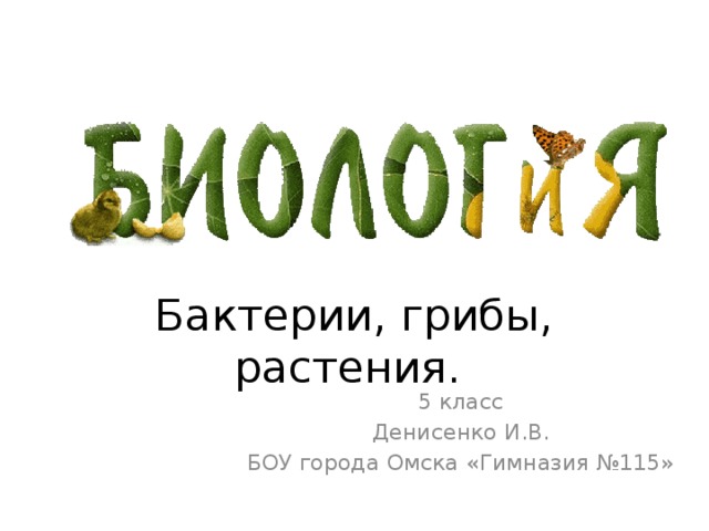 Бактерии, грибы, растения. 5 класс Денисенко И.В. БОУ города Омска «Гимназия №115» 