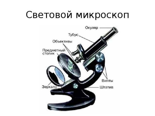 Световой микроскоп 
