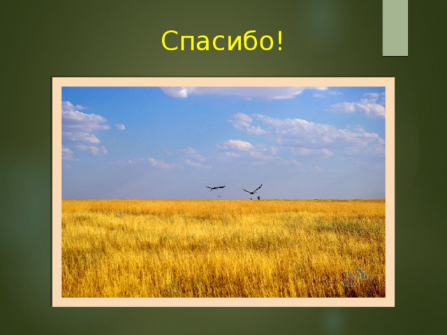  Спасибо! 