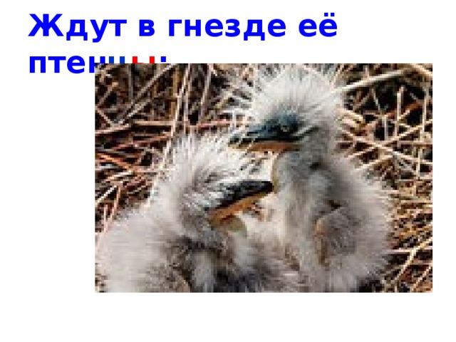 Ждут в гнезде её птен ц ы ; ц ы 