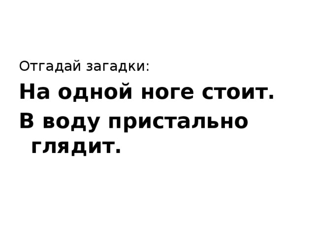 Отгадай загадки: На одной ноге стоит. В воду пристально глядит. 
