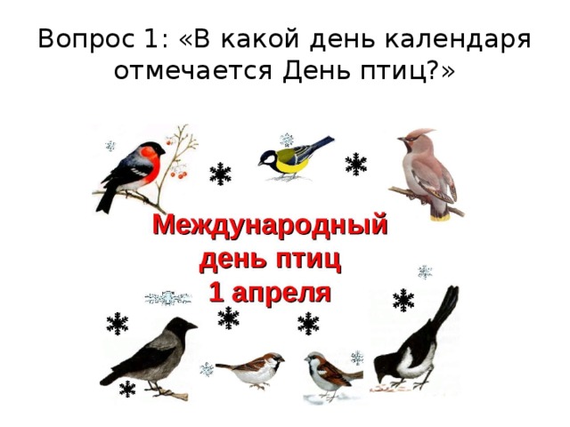 Вопрос 1: «В какой день календаря отмечается День птиц?» 