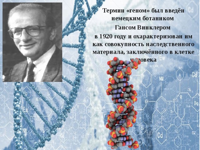 Термин «геном» был введён немецким ботаником Гансом Винклером в 1920 году и охарактеризован им как совокупность наследственного материала, заключённого в клетке человека