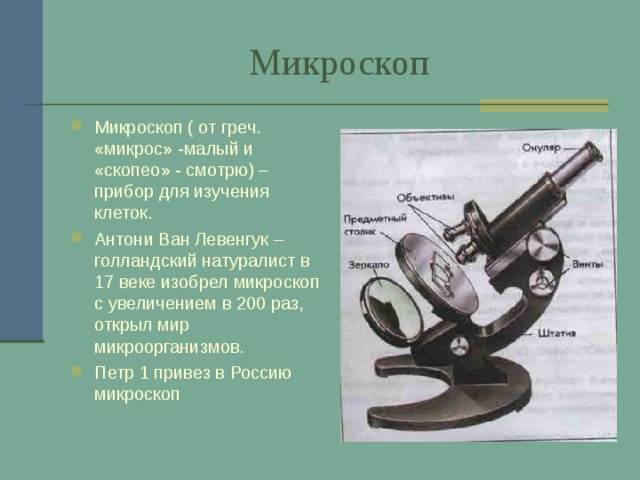  Микроскоп Микроскоп ( от греч. «микрос» -малый и «скопео» - смотрю) –прибор для изучения клеток. Антони Ван Левенгук – голландский натуралист в 17 веке изобрел микроскоп с увеличением в 200 раз, открыл мир микроорганизмов. Петр 1 привез в Россию микроскоп 