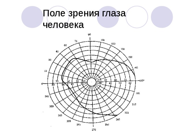 Поле зрения глаза