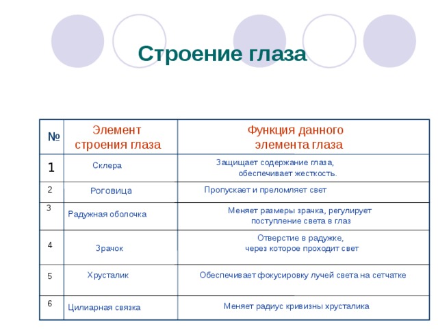 С троение глаза  Функция данного  Элемент  элемента глаза строения глаза №  З ащищает содержание глаза,  обеспечивает жесткость.  С клера 1  Роговица 2  Пропускает и преломляет свет 3 Меняет размеры зрачка, регулирует  поступление света в глаз Радужная оболочка Отверстие в радужке, через которое проходит свет 4  Зрачок Хрусталик Обеспечивает фокусировку лучей света на сетчатке 5 6 Меняет радиус кривизны хрусталика Цилиарная связка