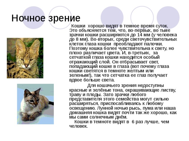 Ночное зрение  Кошки   хорошо видят в темное время суток. Это объясняется тем, что, во-первых, во тьме зрачки кошки расширяются до 14 мм (у человека до 8 мм). Во-вторых, среди светочувствительных клеток глаза кошки  преобладают палочки. Поэтому кошка более чувствительна к свету, но плохо различает цвета. И, в-третьих,  за сетчаткой глаза кошки находится особый отражающий слой. Он отбрасывает свет, попадающий кошке в глаза (вот почему глаза кошки светятся в темноте желтым или зеленым!), так что сетчатка ее глаз получает вдвое больше света.  Для кошачьего зрения недоступны красные и зелёные тона, окрашивающие листву, траву и плоды. Зато зрачки любого представителя этого семейства могут сильно расширяться, приспосабливаясь к любому освещению. Лунной ночью рысь, пума или наша домашняя кошка видят почти так же хорошо, как мы сами солнечным днём.      Кошки в темноте видят в 6 раз лучше, чем человек.