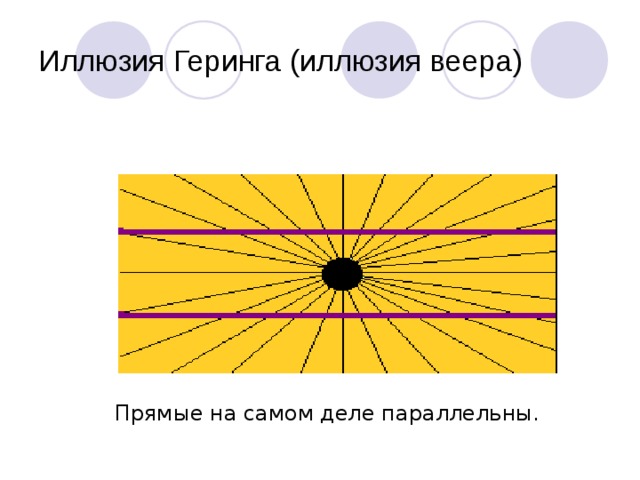 Иллюзия Геринга (иллюзия веера) Прямые на самом деле параллельны.