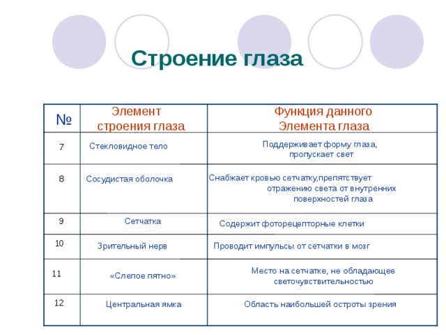 Строение глаза Функция данного Элемента глаза  Элемент  строения глаза № Поддерживает форму глаза, пропускает свет Стекловидное тело 7  Снабжает кровью сетчатку,препятствует отражению света от внутренних поверхностей глаза 8  Сосудистая оболочка Сетчатка 9 Содержит фоторецепторные клетки 10 Зрительный нерв Проводит импульсы от сетчатки в мозг Место на сетчатке, не обладающее светочувствительностью  11 «Слепое пятно» 12 Центральная ямка Область наибольшей остроты зрения