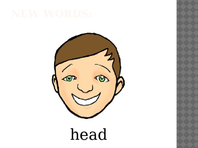 New words:   head
