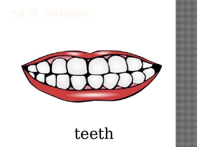 New words:   teeth