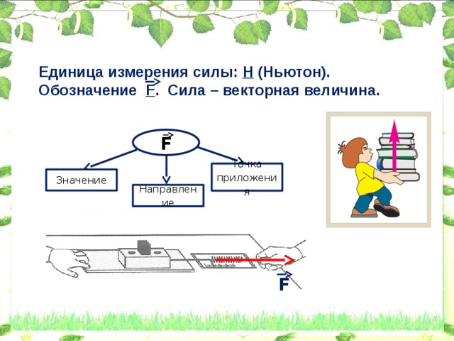 Единица измерения силы: Н (Ньютон). Обозначение F . Сила – векторная величина. F Точка приложения Значение Направление F