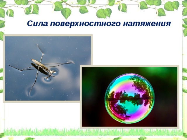 Сила поверхностного натяжения