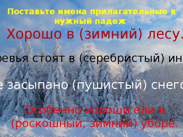 Презентация к уроку русского языка на тему : «Имя прилагательное ...