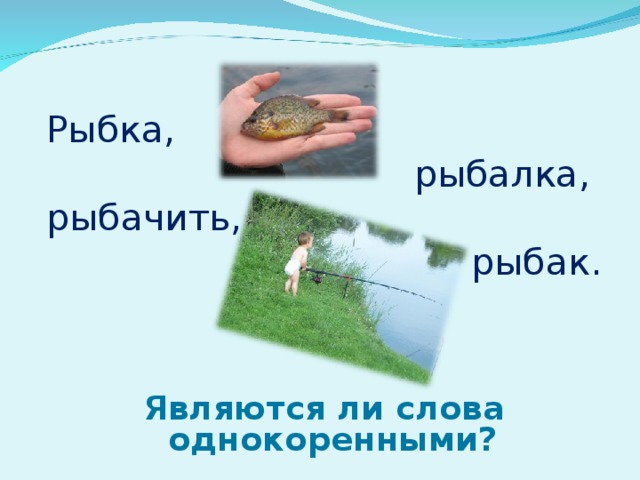 Рыбка, рыбалка, рыбачить,  рыбак.  Являются ли слова однокоренными? 