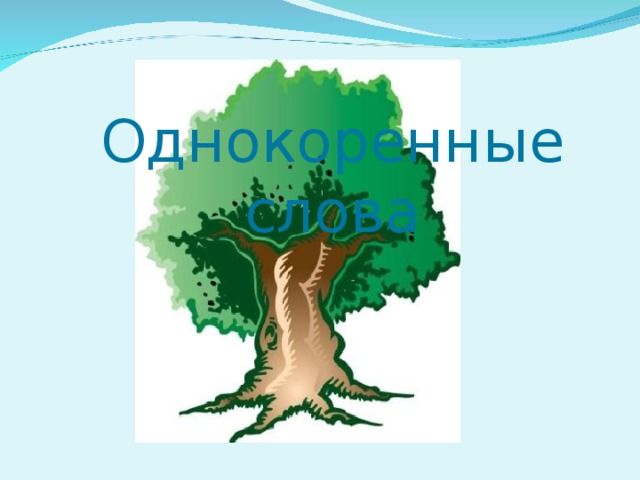 Однокоренные слова 