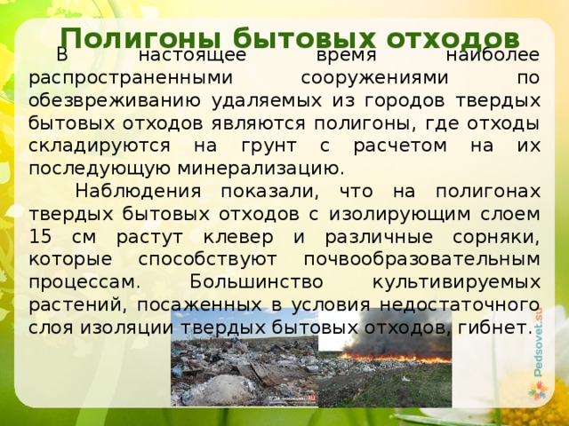   Полигоны бытовых отходов В настоящее время наиболее распространенными сооружениями по обезвреживанию удаляемых из городов твердых бытовых отходов являются полигоны, где отходы складируются на грунт с расчетом на их последующую минерализацию.  Наблюдения показали, что на полигонах твердых бытовых отходов с изолирующим слоем 15 см растут клевер и различные сорняки, которые способствуют почвообразовательным процессам. Большинство культивируемых растений, посаженных в условия недостаточного слоя изоляции твердых бытовых отходов, гибнет. 