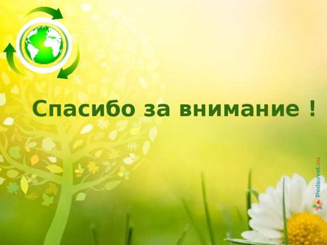 Спасибо за внимание ! 