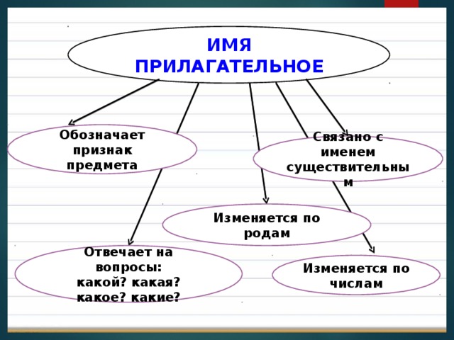 Прилагательное обозначает предмет. Кластер имя прилагательное. Кластер имя прилагательное изменяется по родам. Кластер 