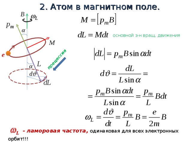 2. Атом в магнитном поле. прецессия основной з-н вращ. движения е   L - ламоровая частота, одинаковая для всех электронных орбит!!! 