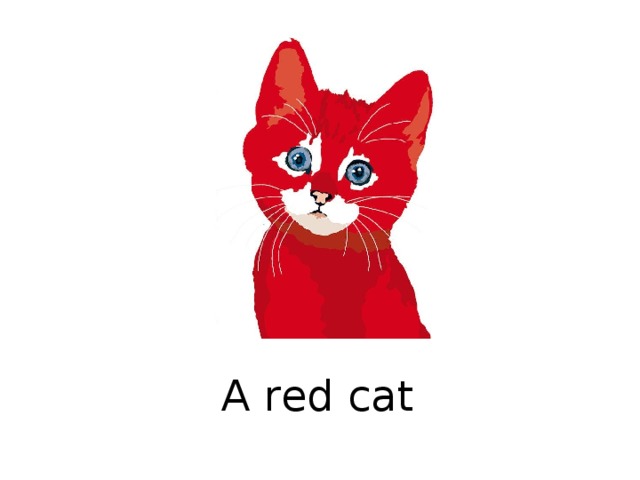 A red cat  