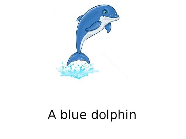 A blue dolphin  