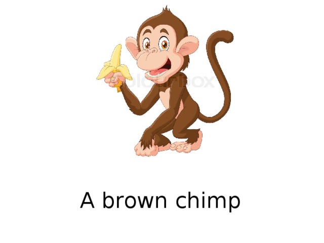 A brown chimp  