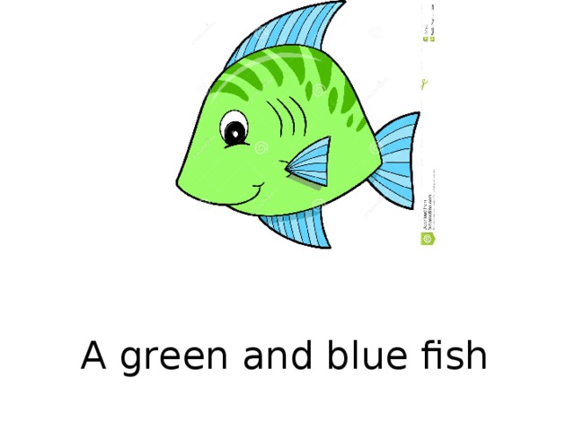 A green and blue fish  
