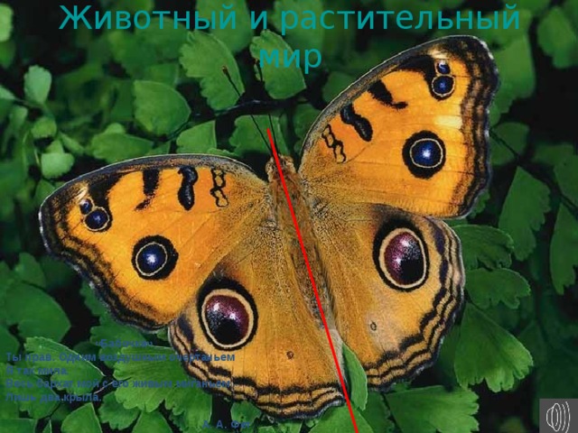 Что такое симметричные отрезки 4 класс математика. Смотреть фото Что такое симметричные отрезки 4 класс математика. Смотреть картинку Что такое симметричные отрезки 4 класс математика. Картинка про Что такое симметричные отрезки 4 класс математика. Фото Что такое симметричные отрезки 4 класс математика