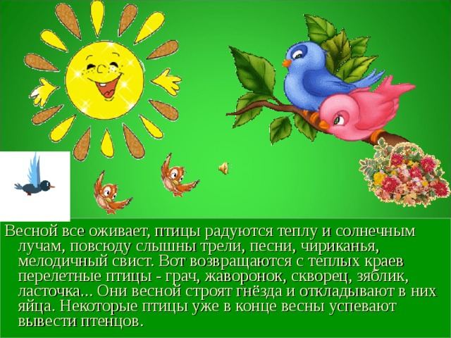 Весной все оживает, птицы радуются теплу и солнечным лучам, повсюду слышны трели, песни, чириканья, мелодичный свист. Вот возвращаются с теплых краев перелетные птицы - грач, жаворонок, скворец, зяблик, ласточка... Они весной строят гнёзда и откладывают в них яйца. Некоторые птицы уже в конце весны успевают вывести птенцов. 