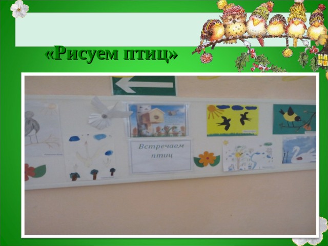    «Рисуем птиц» 