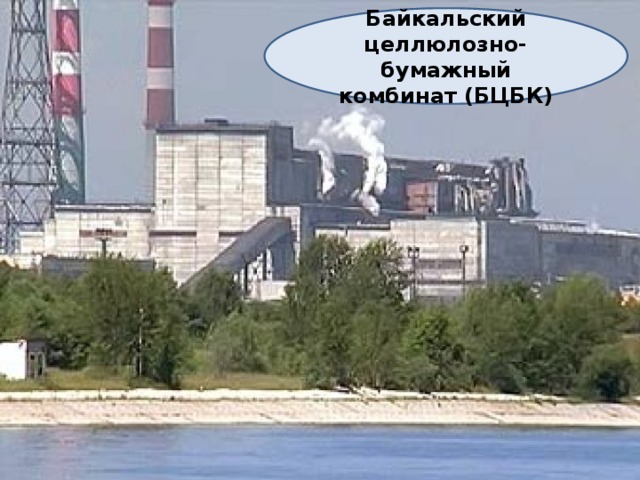 Байкальский целлюлозно-бумажный комбинат (БЦБК) 