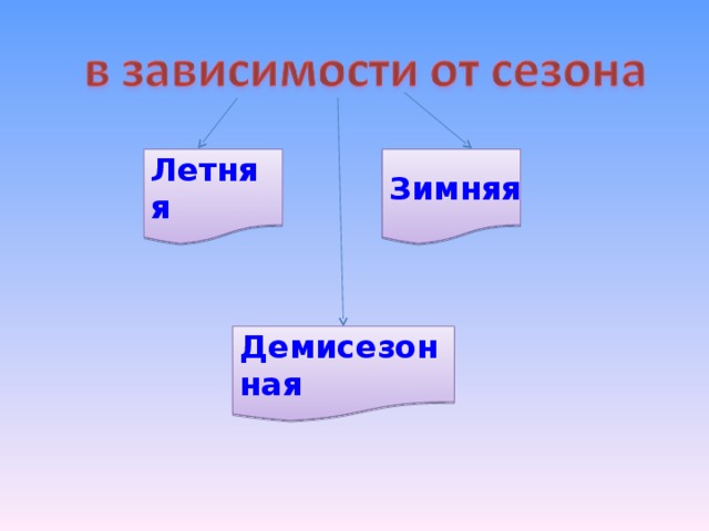 Летняя  Зимняя Демисезонная  