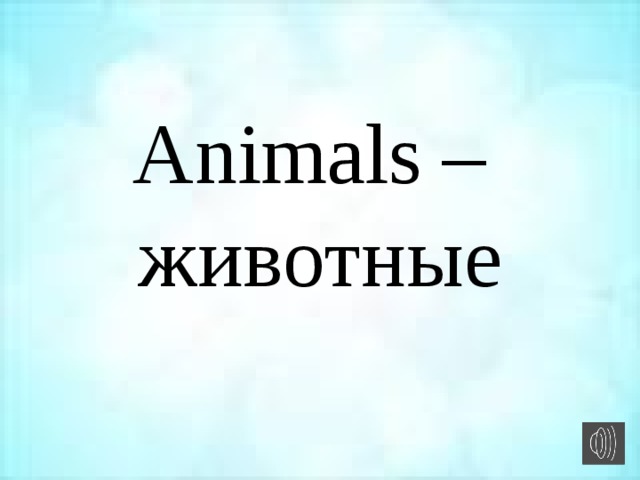 Animals –  животные 