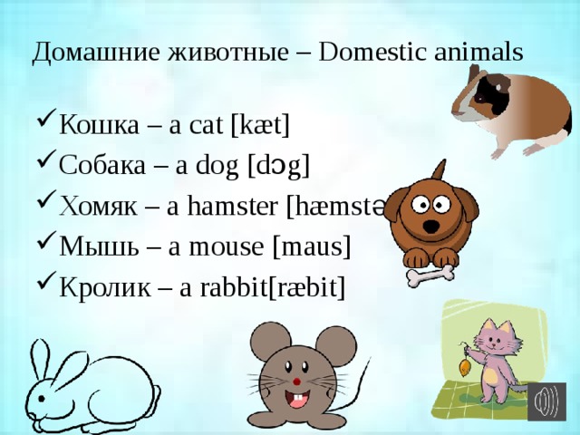 Домашние животные – Domestic animals   Кошка – a cat [kæt] Собака – a dog [dɔg] Хомяк – a hamster [hæmstə] Мышь – a mouse [maus] Кролик – a rabbit[ræbit] 