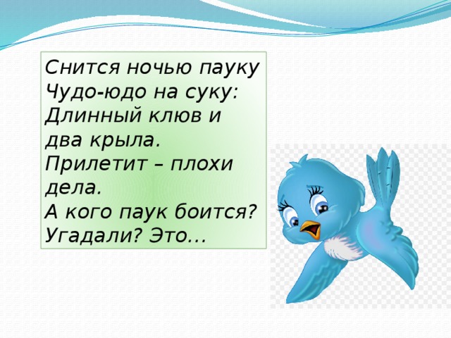 Снится ночью пауку  Чудо-юдо на суку:  Длинный клюв и два крыла.  Прилетит – плохи дела.  А кого паук боится?  Угадали? Это… 